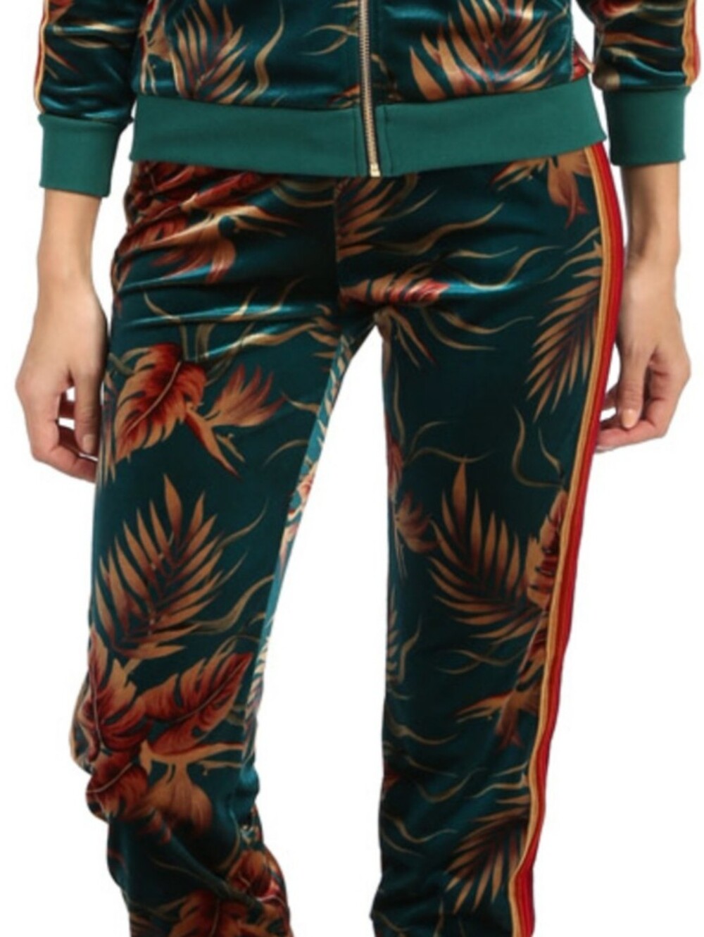 AVIATOR NATION | Joggers Green Tropical Palm Leaf Print